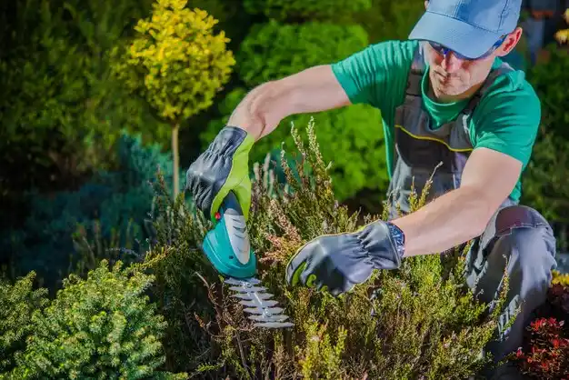 landscaping services Wymore